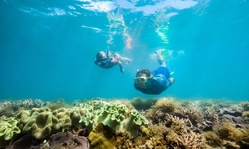 Full Day Jet Rafting & Whitehaven Beach Tour