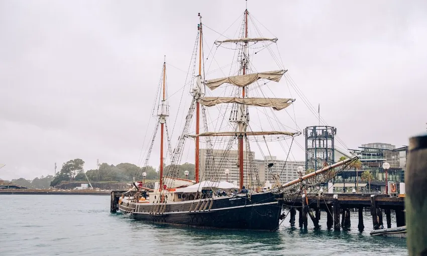 Tall Ship Discovery Cruise, 1.5 Hours