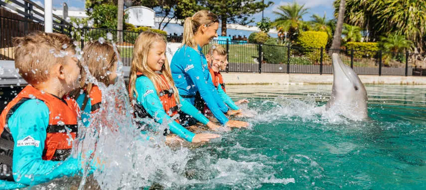 Dolphin Deep Water Adventure at Sea World