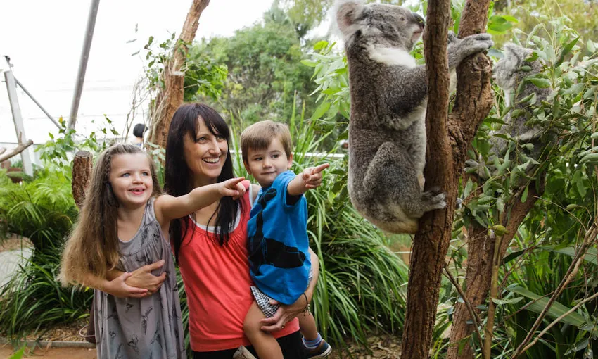 Sydney 3 Attractions Combo Pass