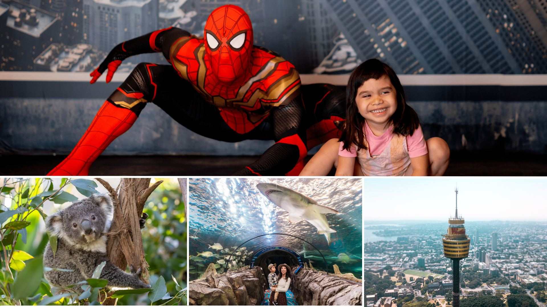 Sydney 3 Attractions Combo Pass