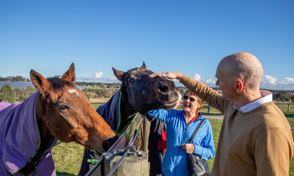 Horses, Wine & Beer Tour of Melbourne