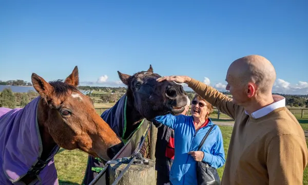 Horses, Wine & Beer Tour of Melbourne