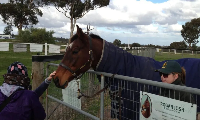 Horses, Wine & Beer Tour of Melbourne