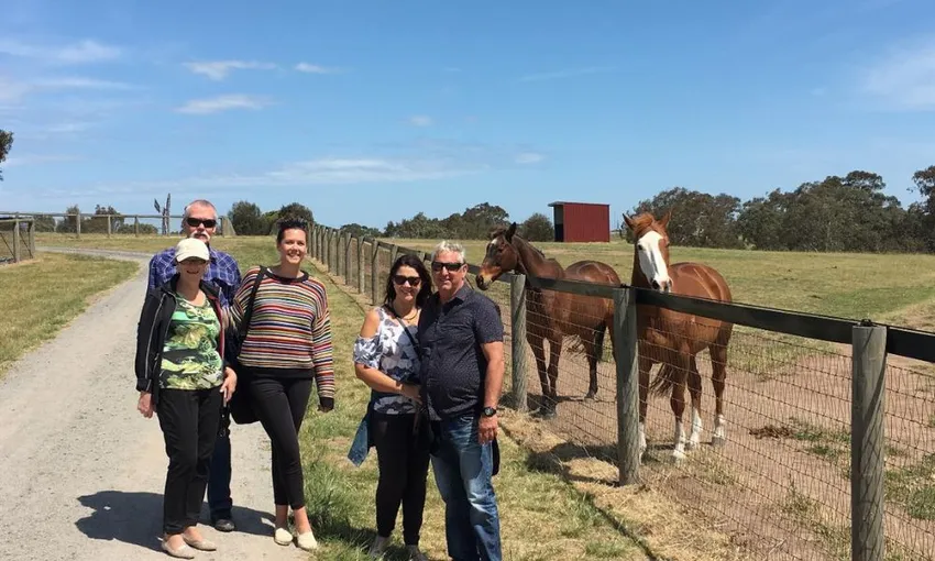 Horses, Wine & Beer Tour of Melbourne