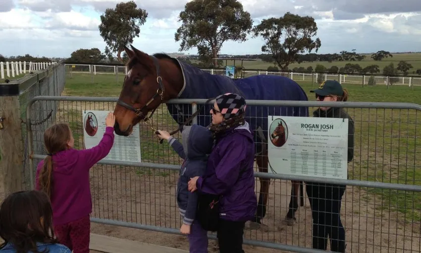 Horses, Wine & Beer Tour of Melbourne