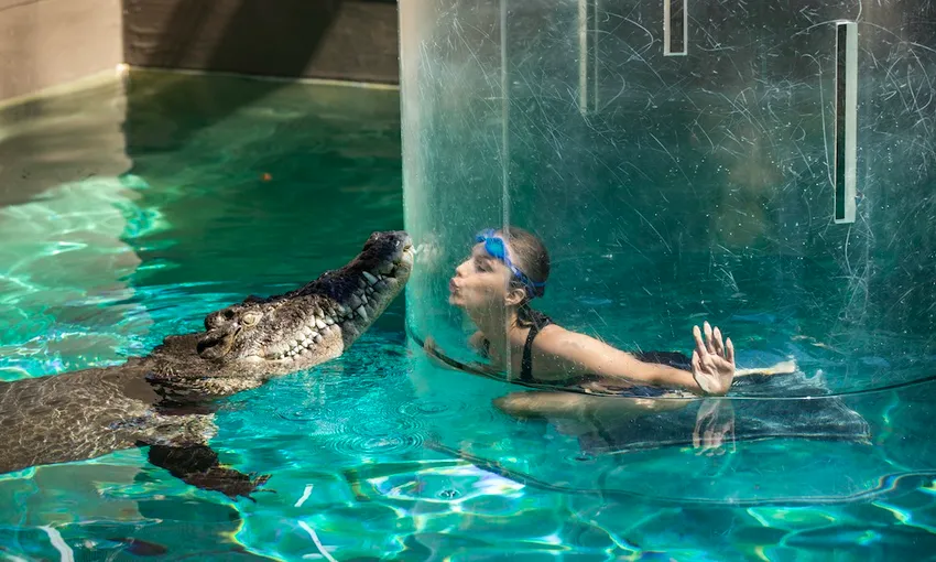 Swim With Crocodiles in the Cage Of Death & Cove Entry - Solo Dive