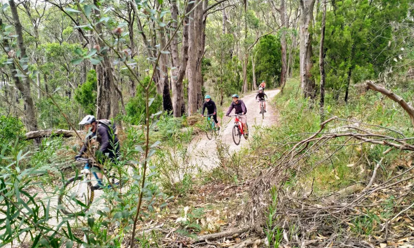 Mount Lofty Mountain Bike Descent Tour - Adelaide