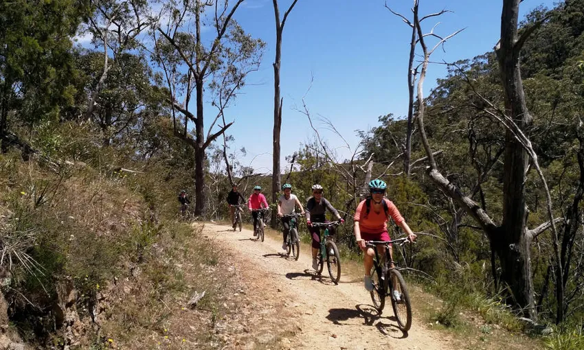 Mount Lofty Mountain Bike Descent Tour - Adelaide