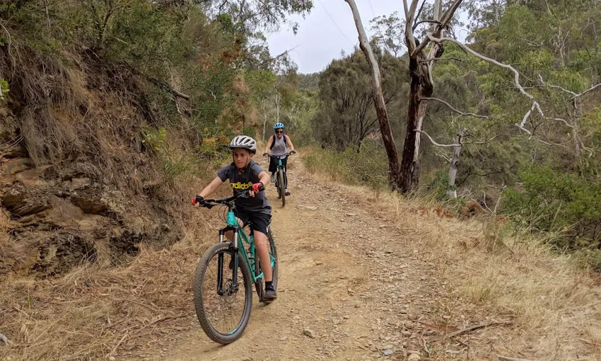 Mount Lofty Mountain Bike Descent Tour - Adelaide