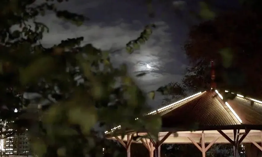 Hidden Melbourne, Ghosts, Murder & Mystery Tour - 90 Minutes