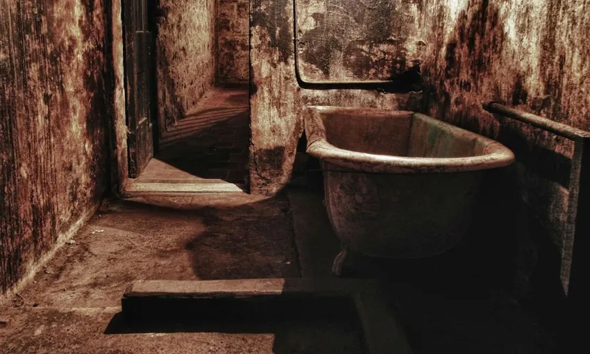 J Ward Lunatic Asylum Ghost Tour, 2 Hours