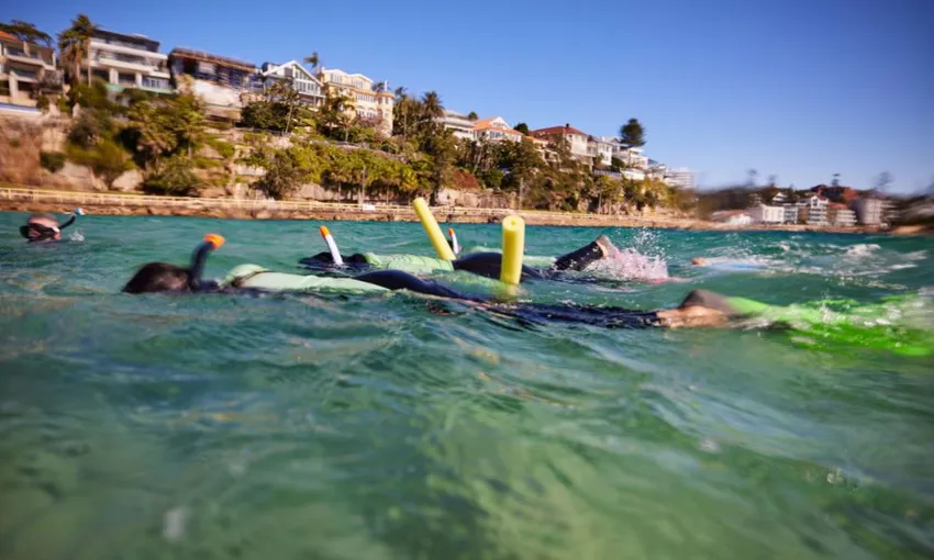 Manly Snorkel Tour and Nature Walk, 2.5 Hours
