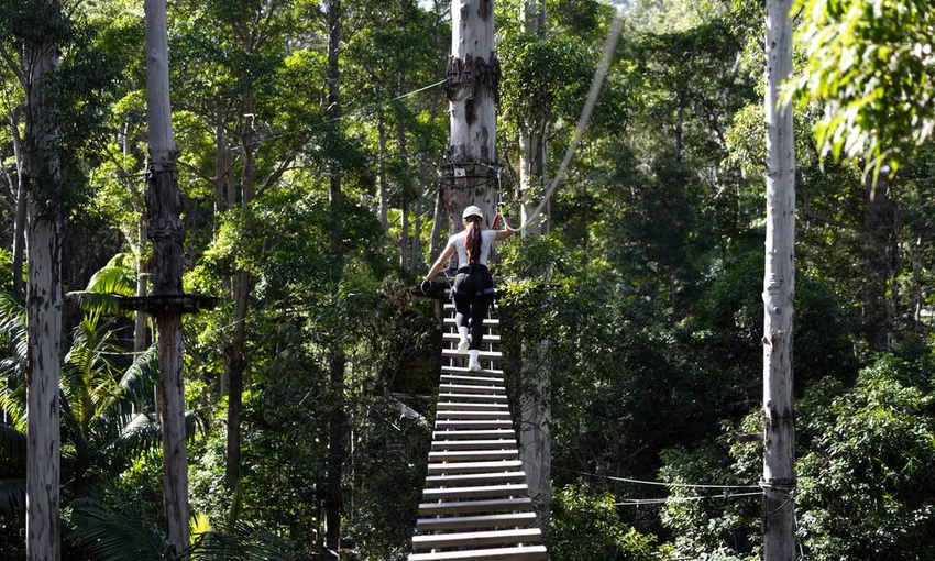 Mount Tamborine High Ropes Adventure - 3 Hours - Gold Coast Hinterland