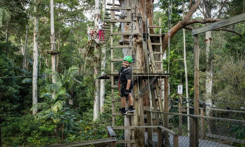 Mount Tamborine High Ropes Adventure - 3 Hours - Gold Coast Hinterland