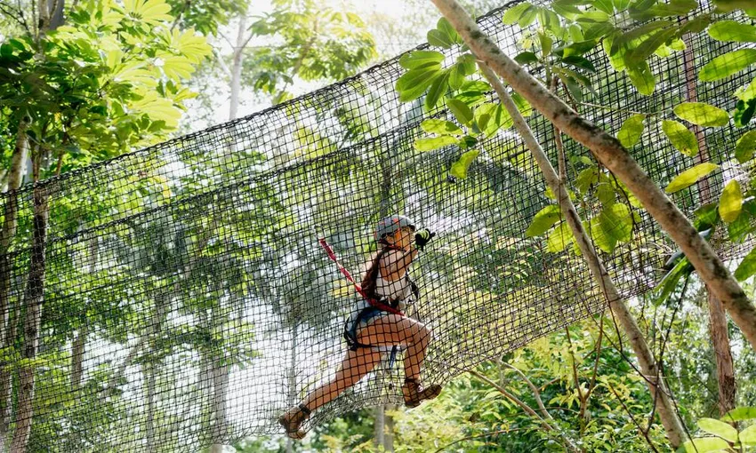 Mount Tamborine High Ropes Adventure - 3 Hours - Gold Coast Hinterland