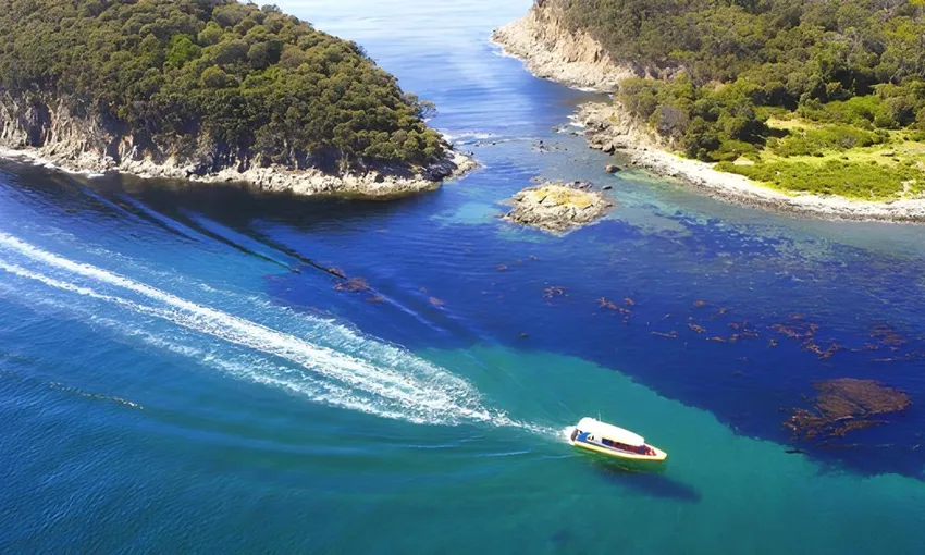 Bruny Island Wilderness Cruise, 3 Hours