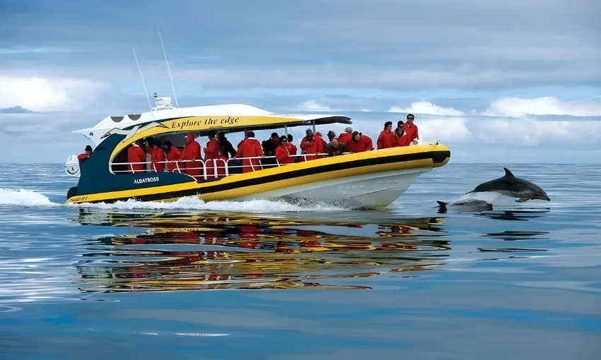 Bruny Island Wilderness Cruise, 3 Hours