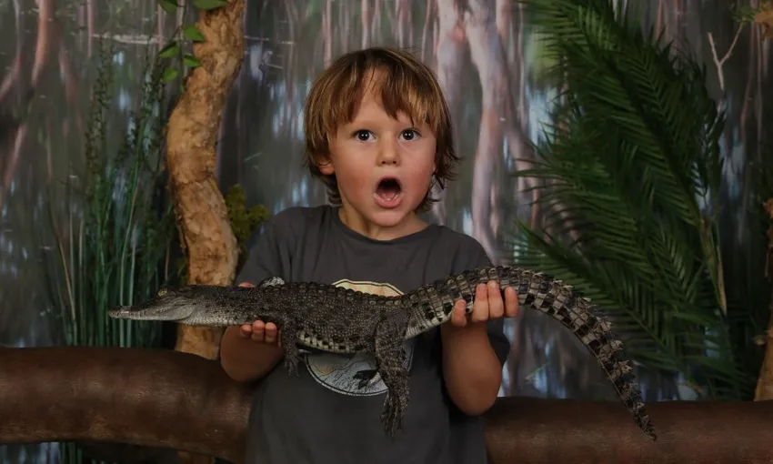 Darwin Crocosaurus Cove Entry 