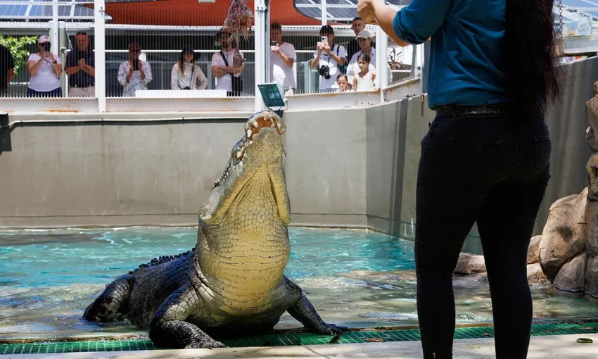 Darwin Crocosaurus Cove Entry 