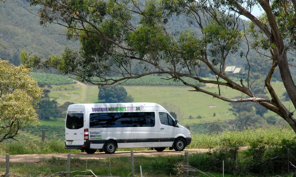 Sydney to Hunter Valley Winery Tour | Experience Oz-3