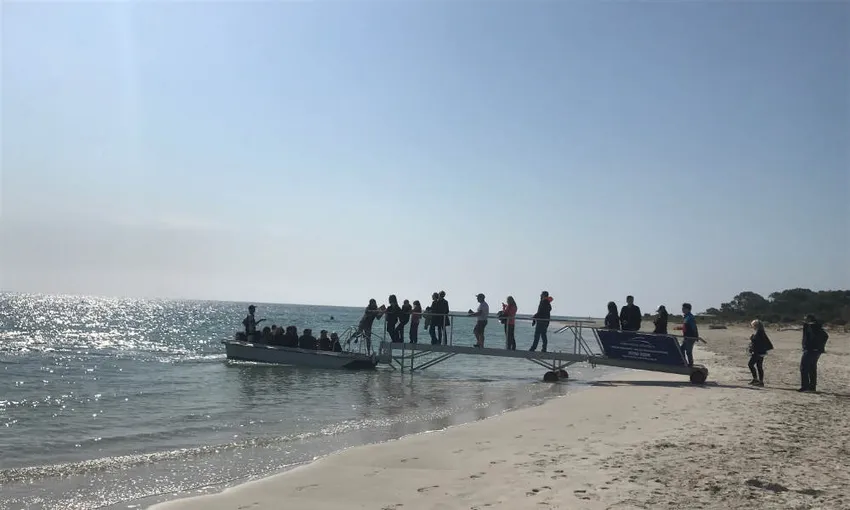 Dunsborough Whale Watching Cruise, For 2