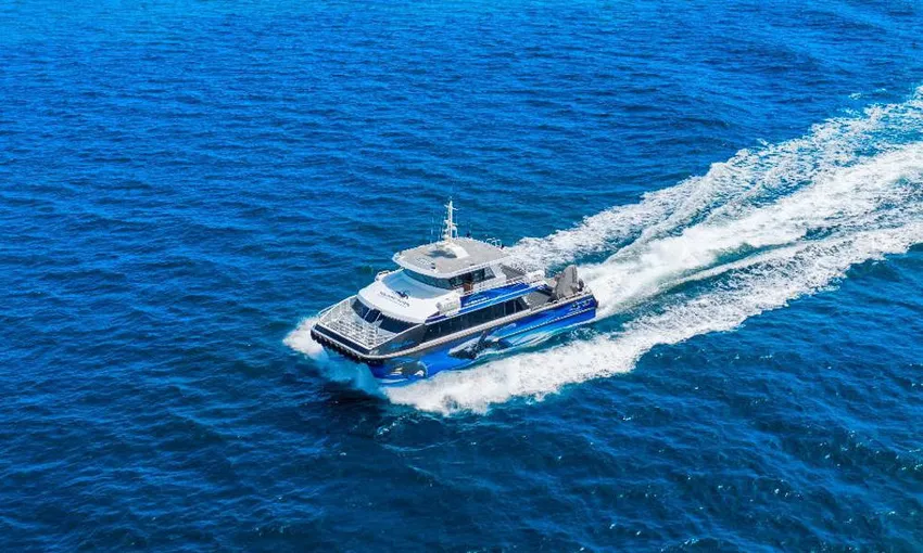 Augusta Morning Whale Watching Cruise, 2 Hours