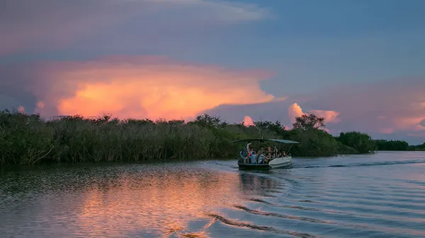 Darwin Wetland Wildlife Sunset Cruise, 2 Hours
