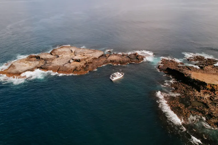 Phillip Island Seal Watching Cruise, 2 Hours 