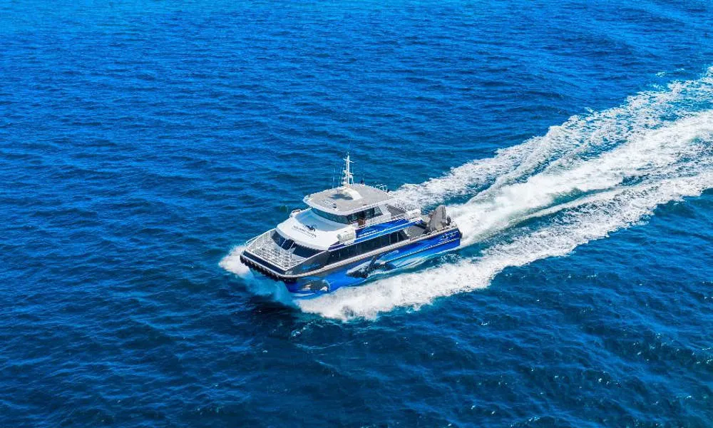 Afternoon Whale Watching Cruise Dunsborough