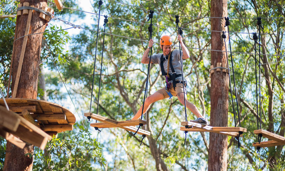 Central Coast Tree Top Adventure Park Course, 2.5 Hours
