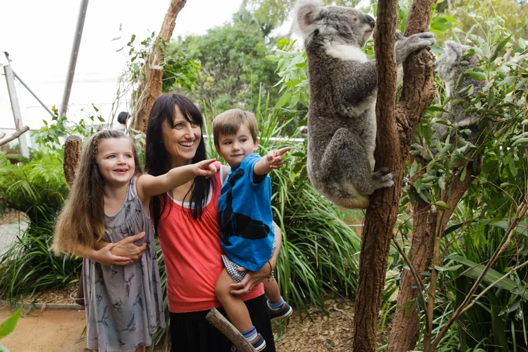 WILD LIFE Sydney Zoo Entry Tickets