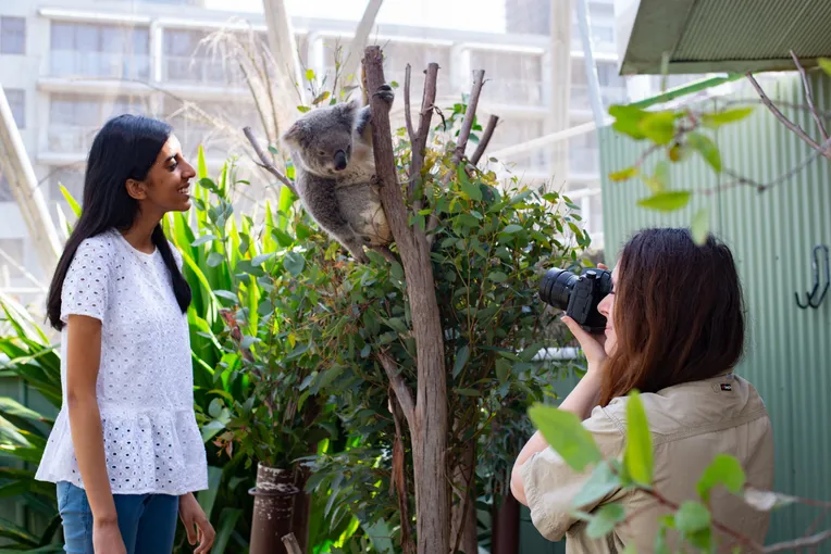 WILD LIFE Sydney Zoo Entry Tickets