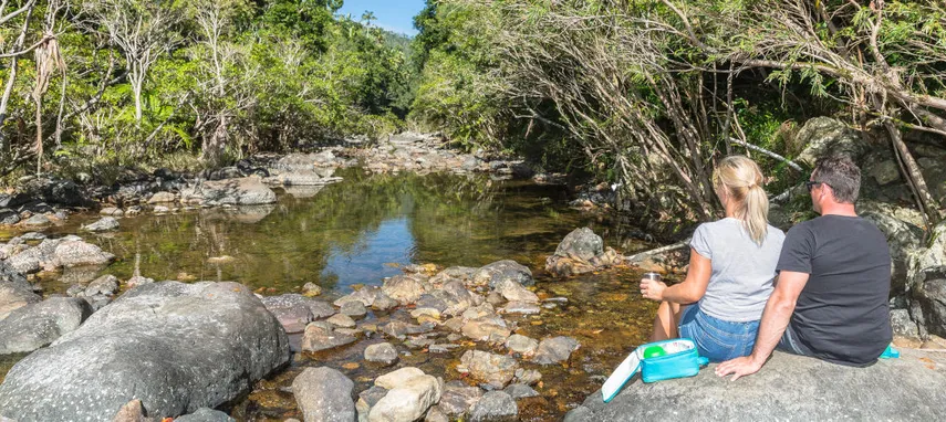 Segway Rainforest Discovery Tour