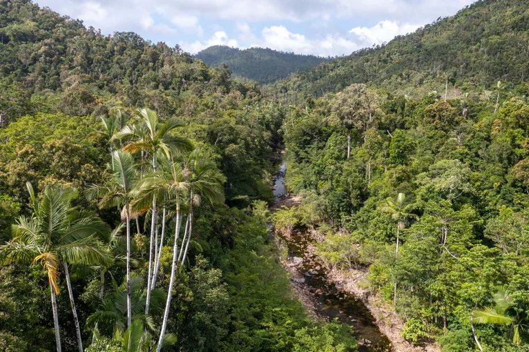 Segway Rainforest Discovery Tour