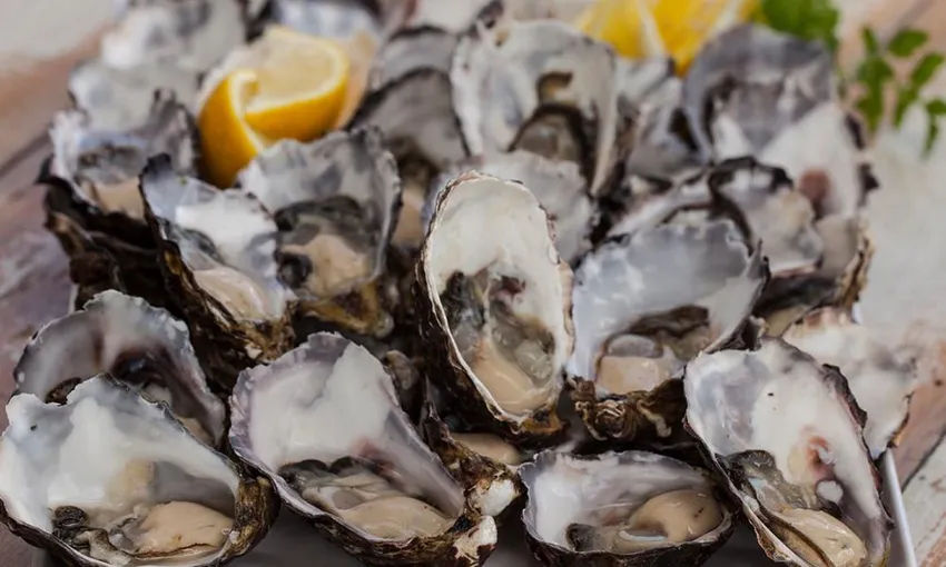 Bruny Island Gourmet Day Tour with Lunch