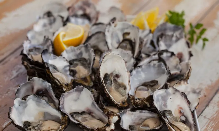 Bruny Island Gourmet Day Tour with Lunch