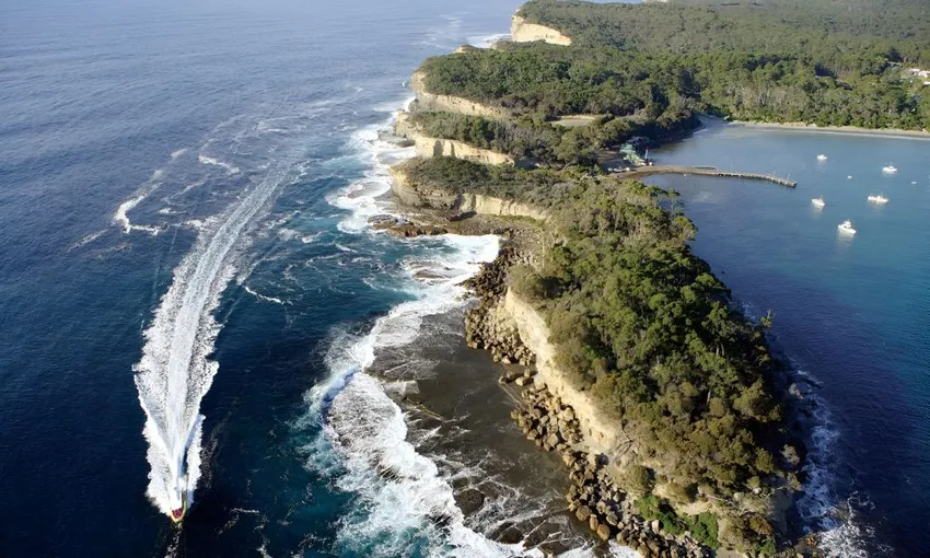 Tasman Island Nature Cruise, 3 Hours