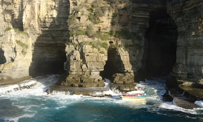 Tasman Island Nature Cruise, 3 Hours