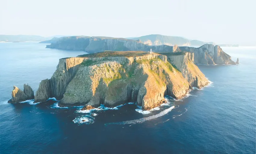 Tasman Island Nature Cruise, 3 Hours