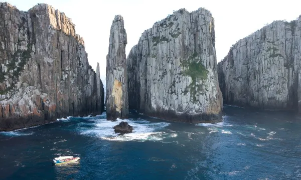 Tasman Island Nature Cruise, 3 Hours