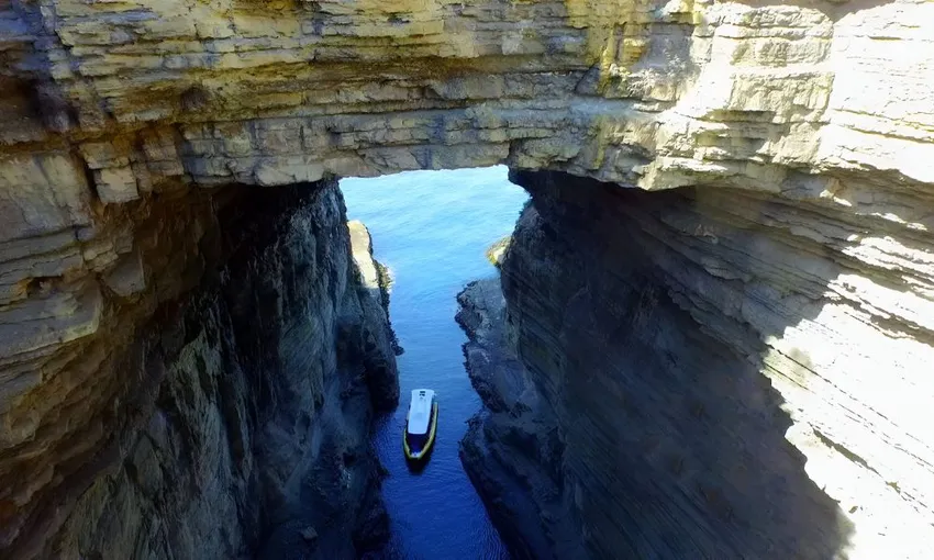 Tasman Island Nature Cruise, 3 Hours
