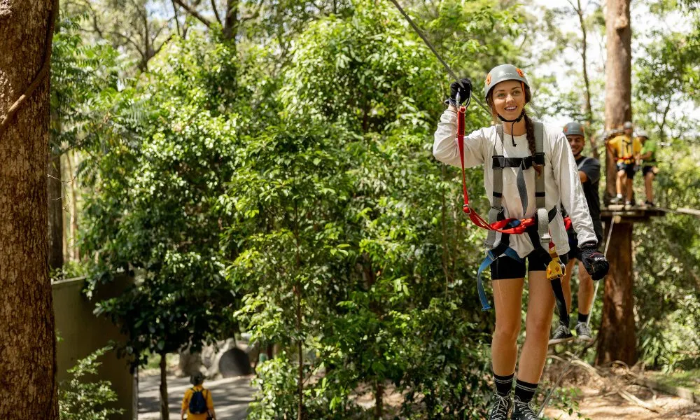 TreeTop Challenge - Currumbin Wildlife Sanctuary