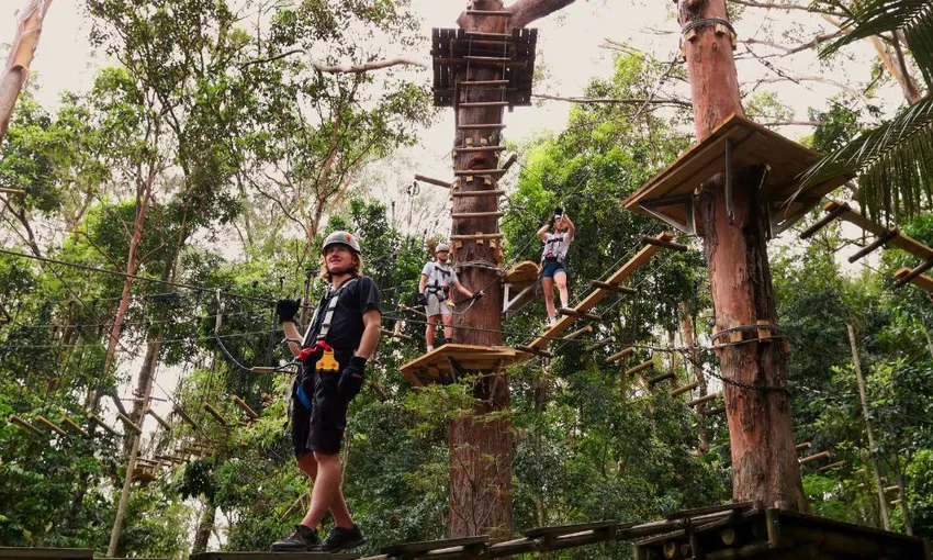 Currumbin Flying Fox & High Ropes Adventure
