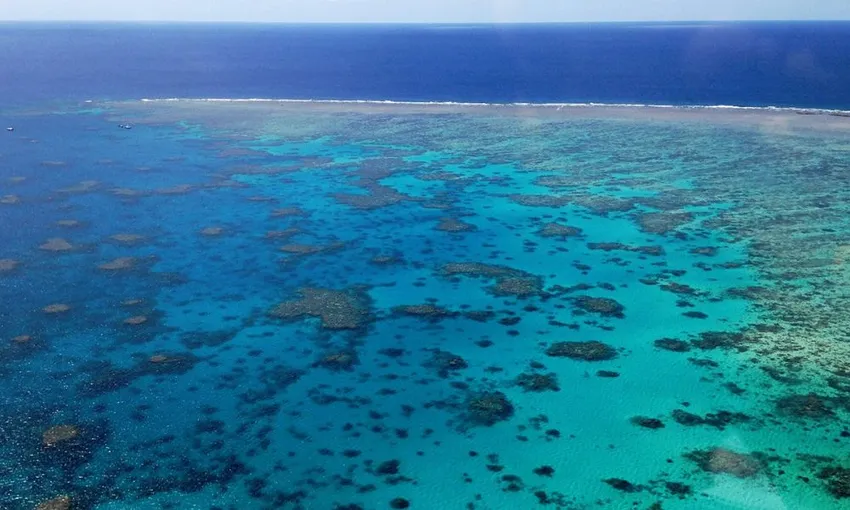 Great Barrier Reef and Green Island Cruise & Flight Adventure