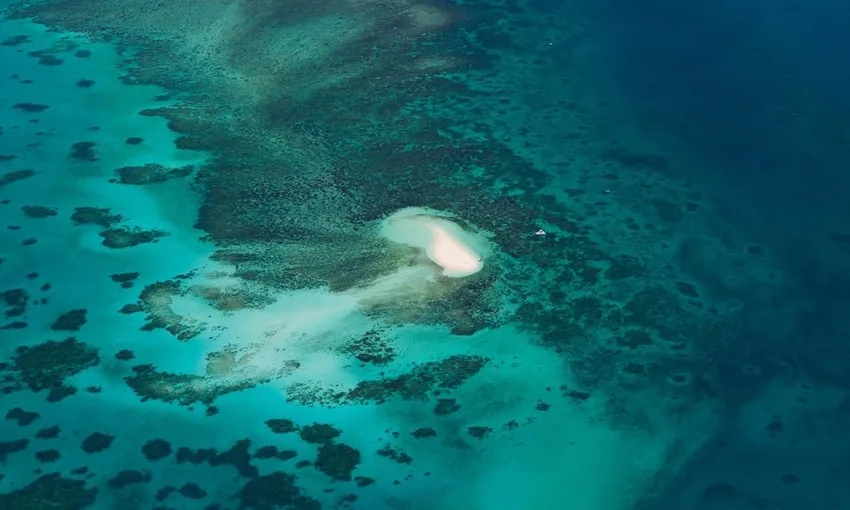 Great Barrier Reef and Green Island Cruise & Flight Adventure