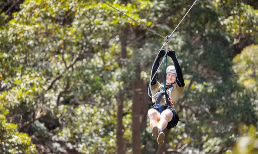 Guided Zipline Tour in Tamborine Mountain 