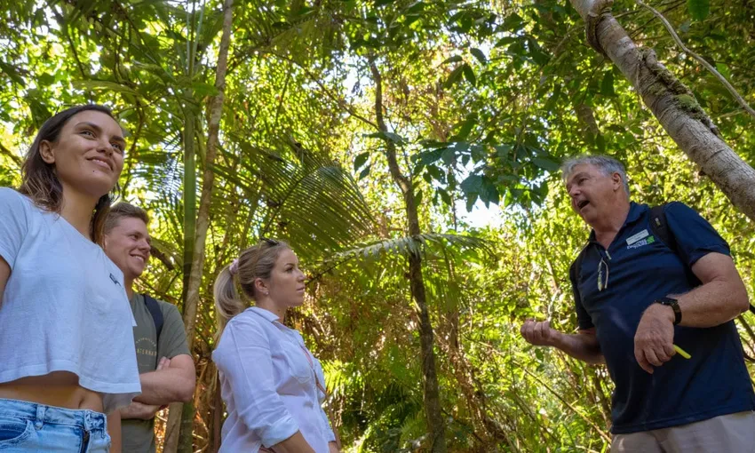 Small Group Luxury Daintree Rainforest Tour | Experience Oz
