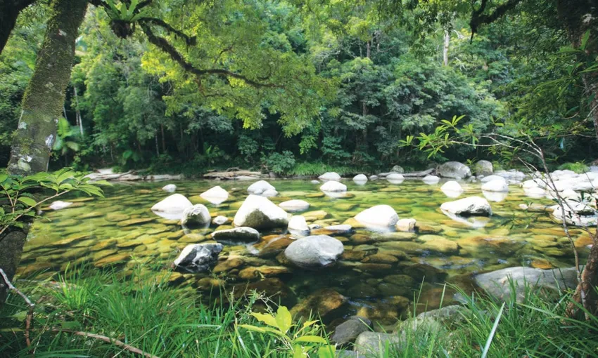 Small Group Luxury Daintree Rainforest Tour | Experience Oz