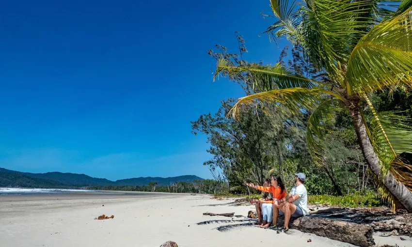 Small Group Luxury Daintree Rainforest Tour | Experience Oz